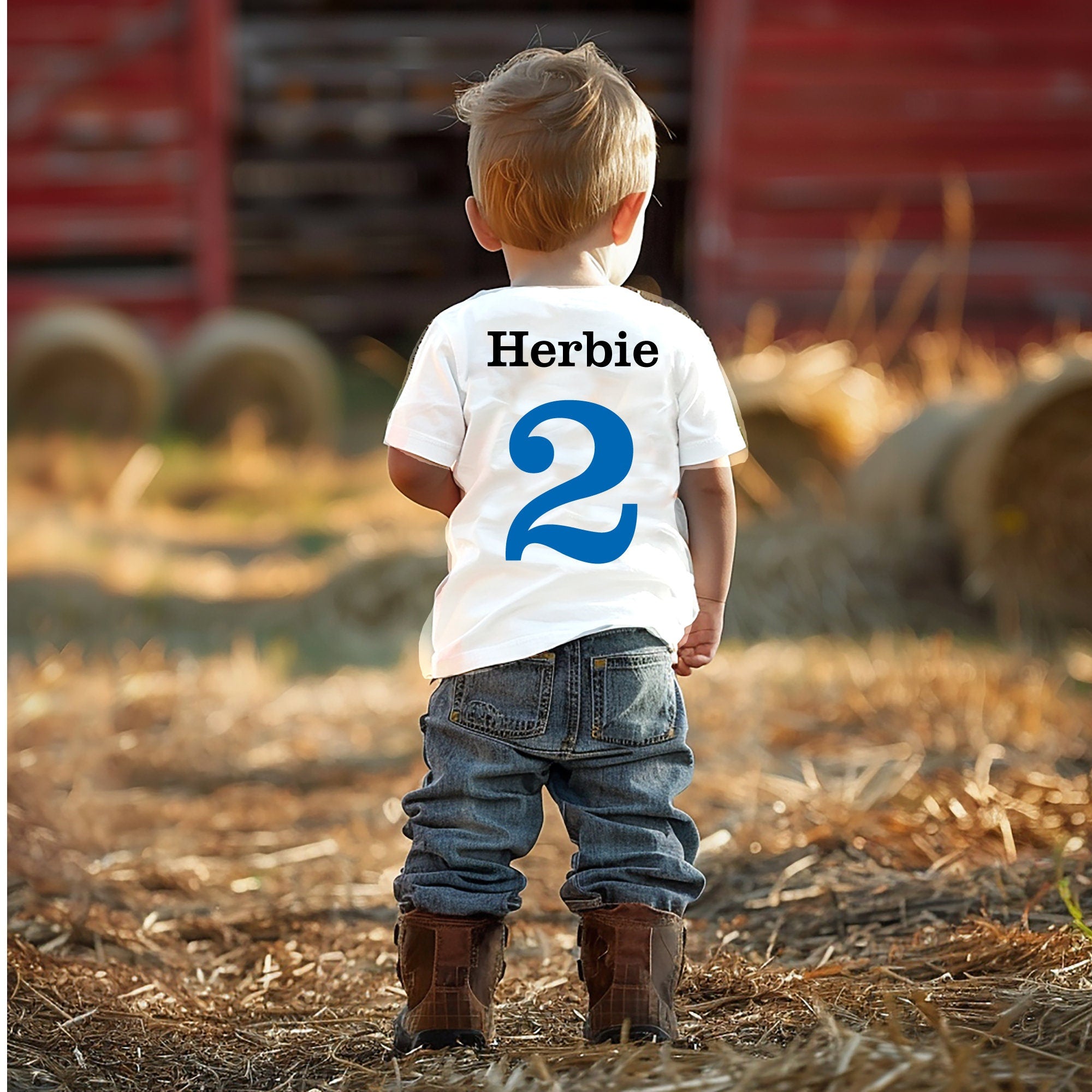 Boys Im two ( or any age) Farm Blue Tractor birthday t shirt with custom age. Tractor & Trailer, Little famers birthday party Idea