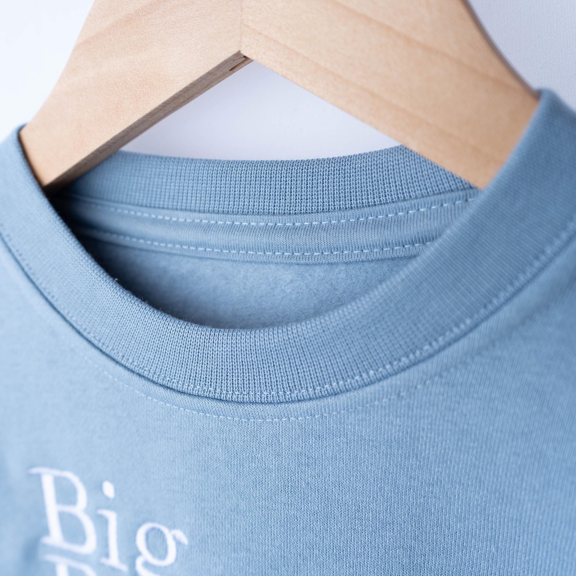 Embroidered Big Brother Sweatshirt | Big Brother Outfit | Sibling Announcement