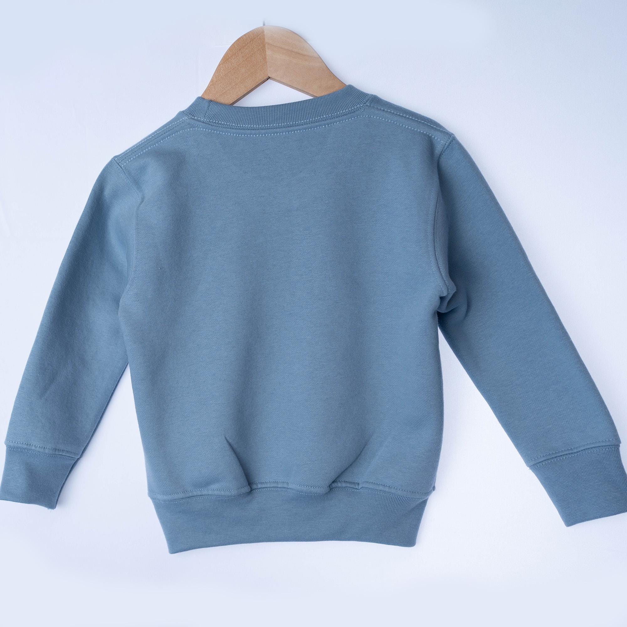 Embroidered Big Brother Sweatshirt | Big Brother Outfit | Sibling Announcement